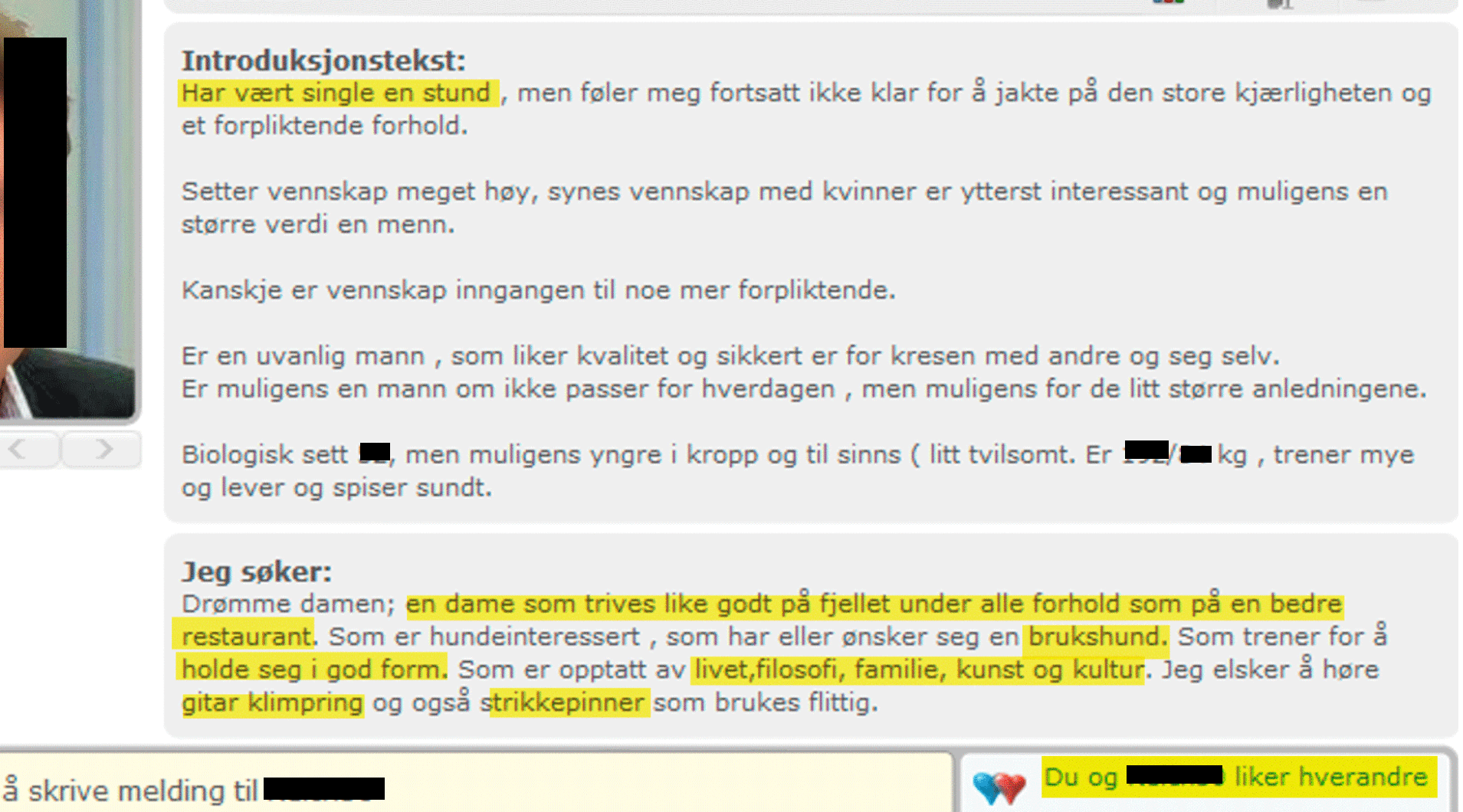 Den stjålne kjærestens nettdatingprofil